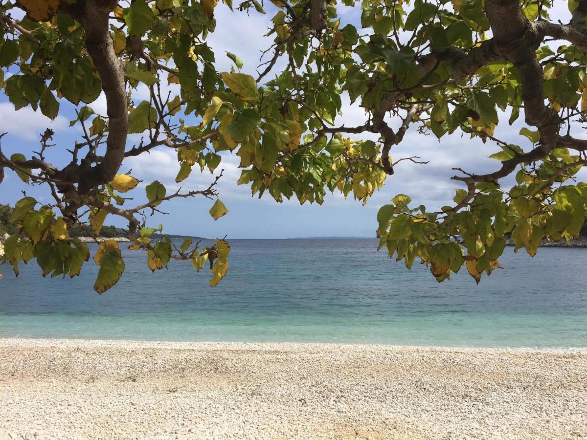 Вілла Chelidonia Steni Vala Alonissos Екстер'єр фото
