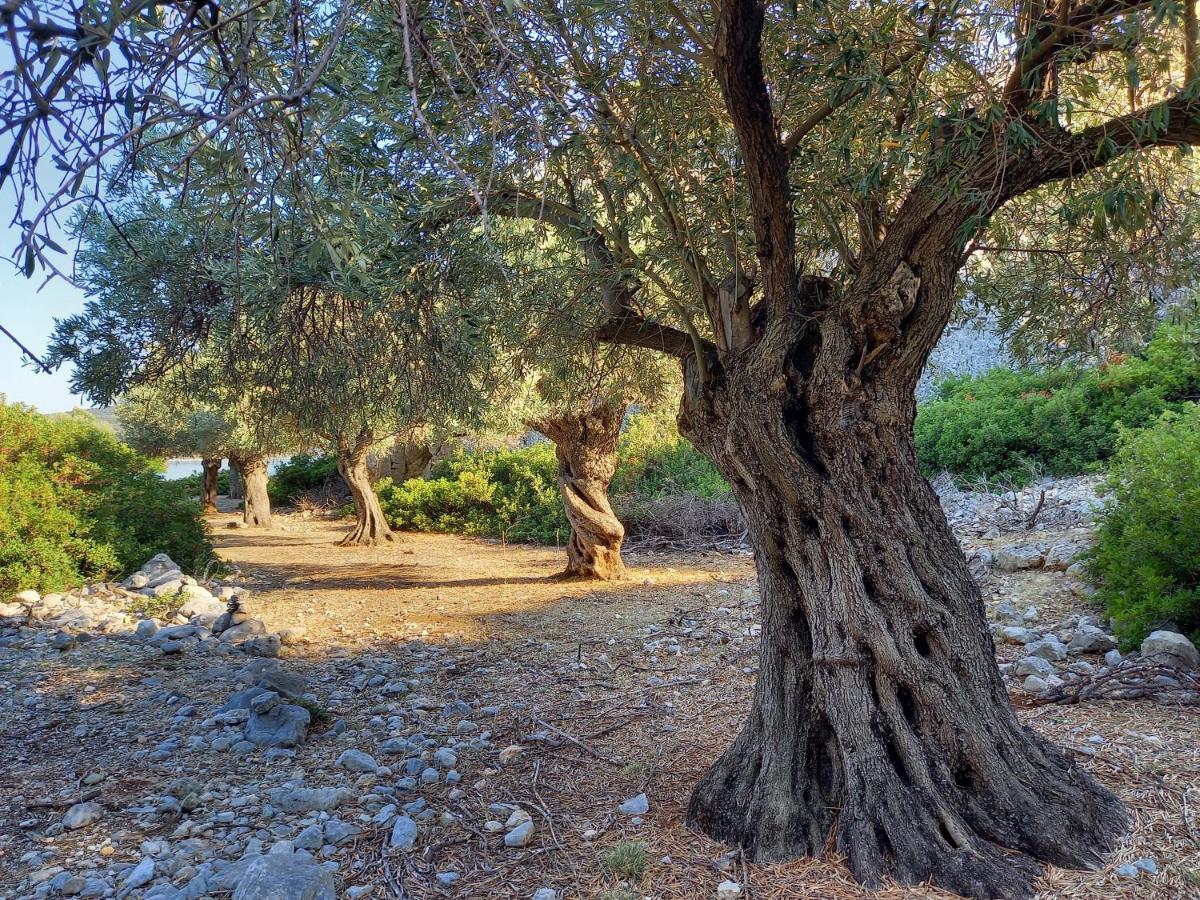 Вілла Chelidonia Steni Vala Alonissos Екстер'єр фото